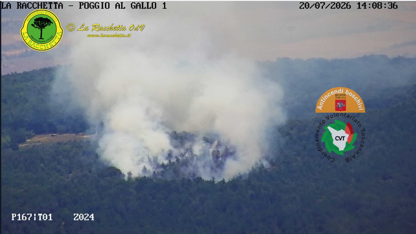Incendio boschivo a Sovicille: Due elicotteri in azione sul posto
