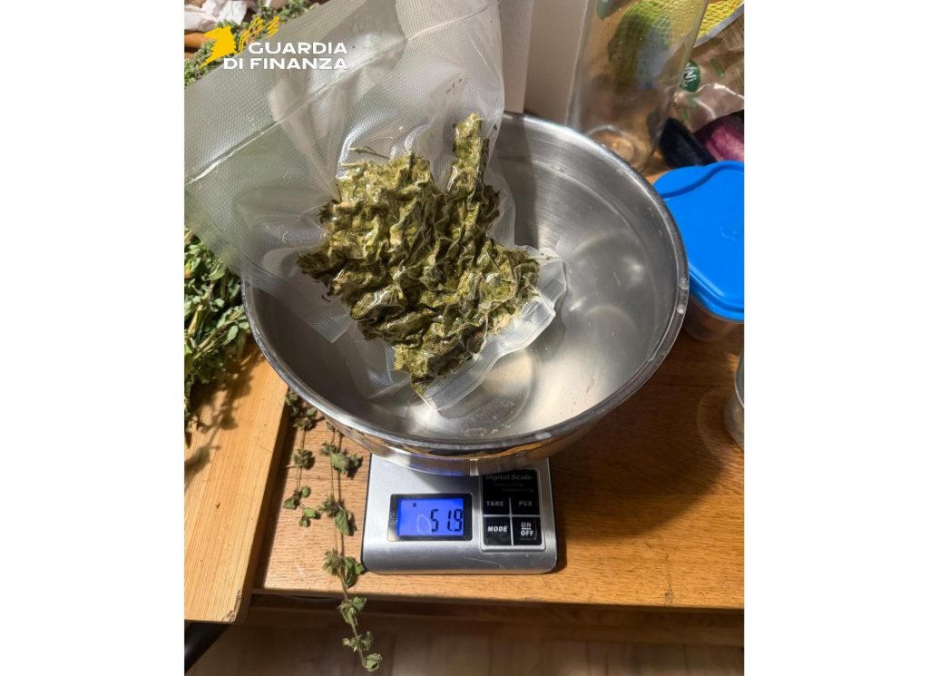 Laboratorio di droga scoperto a Volterra: sequestrata una serra indoor, denunciato un 41enne