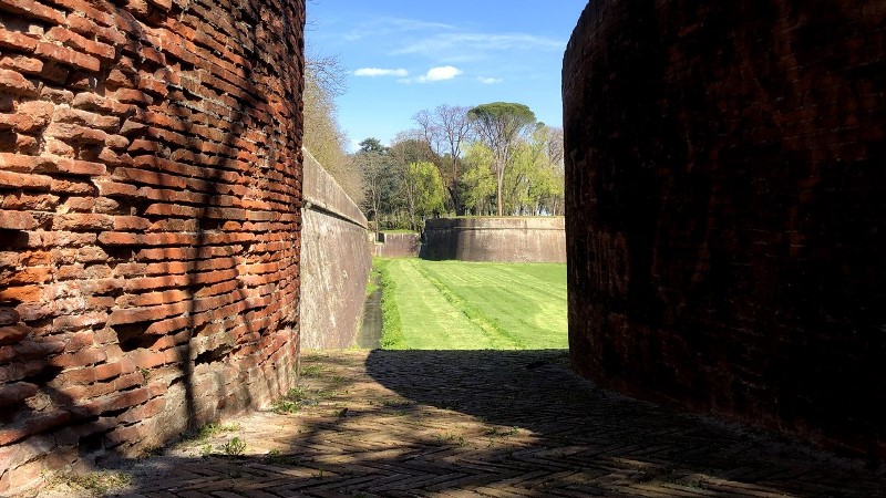 Lucca sfida il record del tappeto di fiori più lungo al mondo
