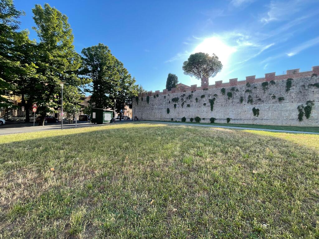 Martedì 14 luglio, l'area verde di via San Francesco sarà dedicata al professor Virgilio Facchini, rinomato medico e docente universitario.