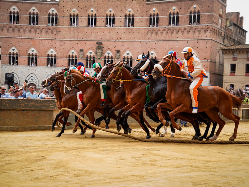 Palio di Siena: Infortunio per il fantino e il cavallo del Drago durante la gara