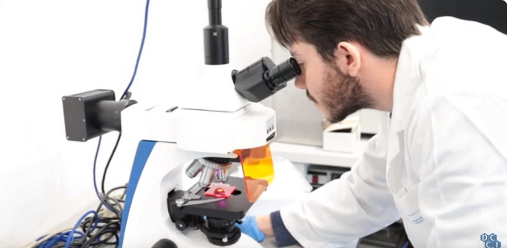 Pandemia: ricerca dell'Università di Pisa evidenzia carenze nei piani regionali per l'inclusività e la gestione dell'infodemia