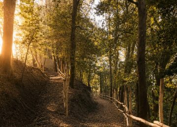 Peccioli riporta ai cittadini il Bosco dei Frati