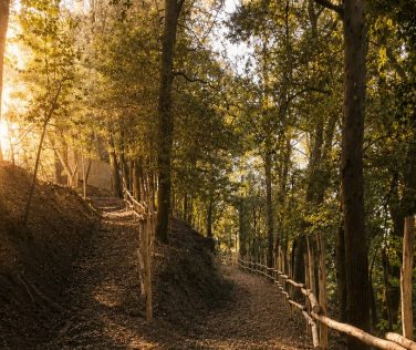 Peccioli riporta ai cittadini il Bosco dei Frati
