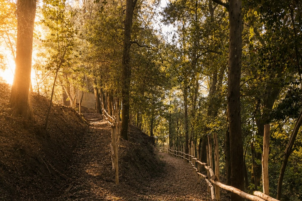 Peccioli riporta ai cittadini il Bosco dei Frati