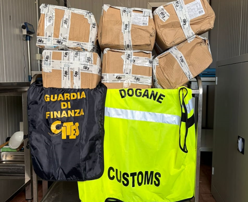 Porto di Livorno: Guardia di Finanza e ADM sequestrano pesce e caviale