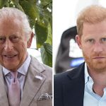 Principe Harry, esplosione di popolarità: tutto merito di Re Carlo