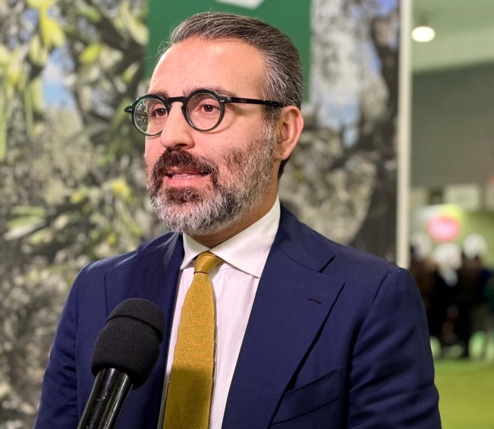 Puglia's Forests: 10.3 Million Projects Submitted for New Woodlands, Agroforestry, and Arboriculture