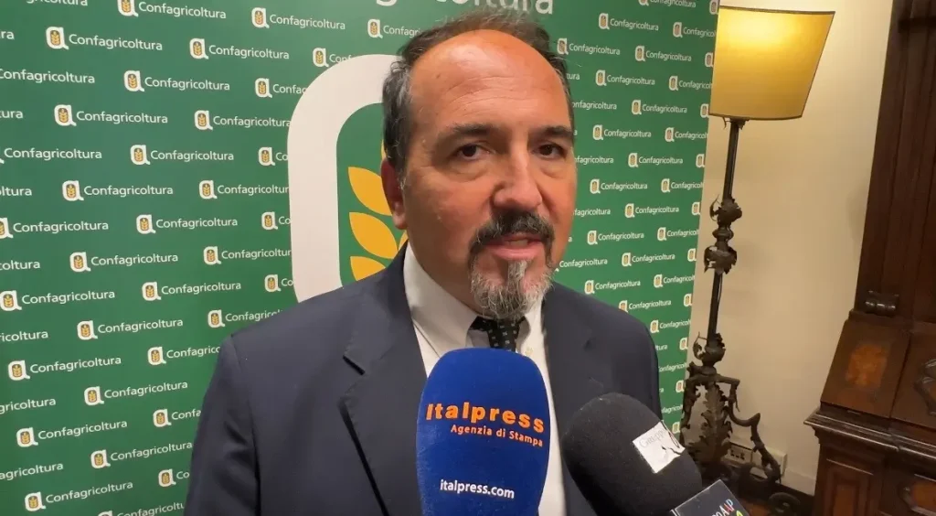 Rocchi: "La gestione della Xylella evidenzia la necessità di un nuovo paradigma" / Video