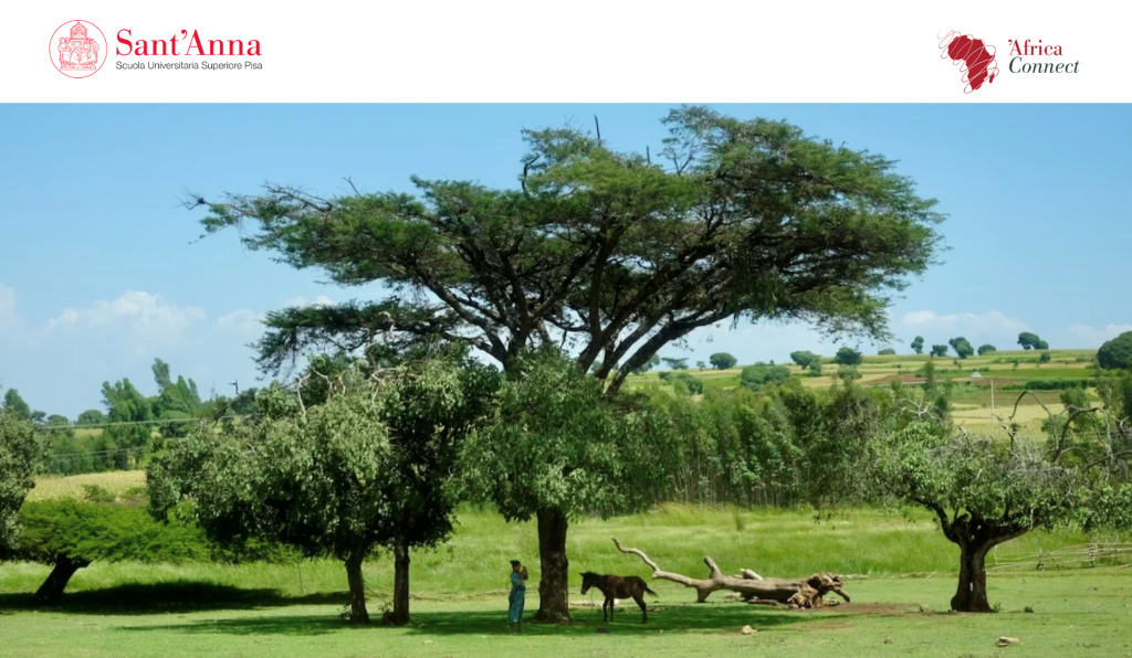 Scuola Superiore Sant'Anna: Nuove Soluzioni dall'Africa per le Sfide di un Futuro Sostenibile - Parte il Progetto AfricaConnect