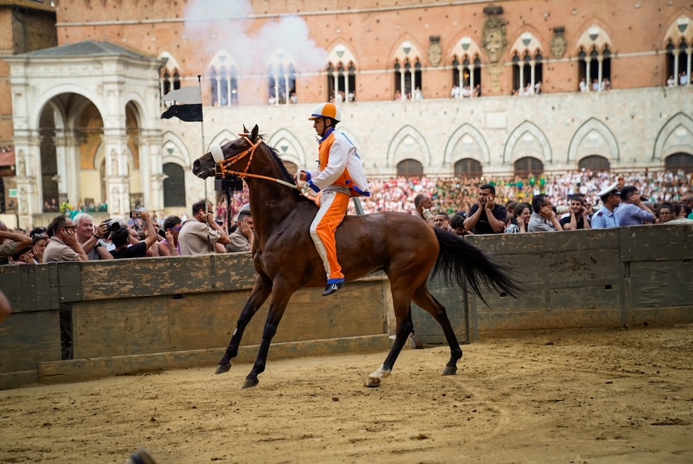 Siena, Palio del 2 luglio: il Leocorno trionfa nella prova generale