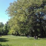 Parco Mediceo di Pratolino: chiusure anticipate nel 2026