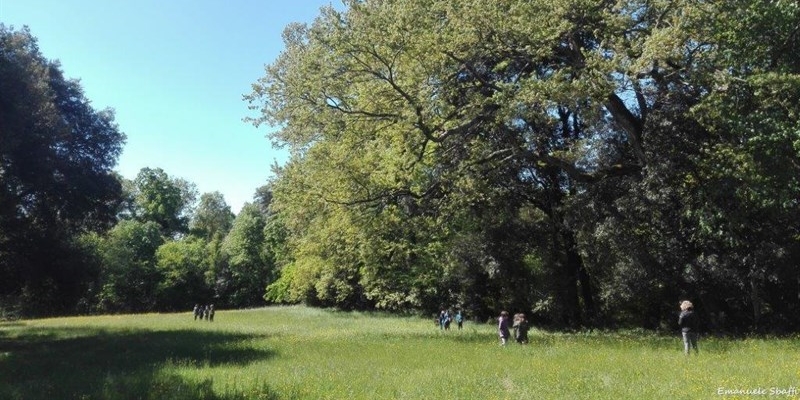 Parco Mediceo di Pratolino: chiusure anticipate nel 2026