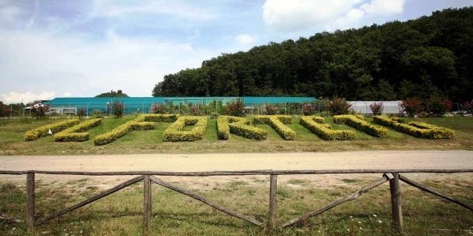Caso Forteto: Petrucci (FDI) lancia accuse di gravi omissioni.