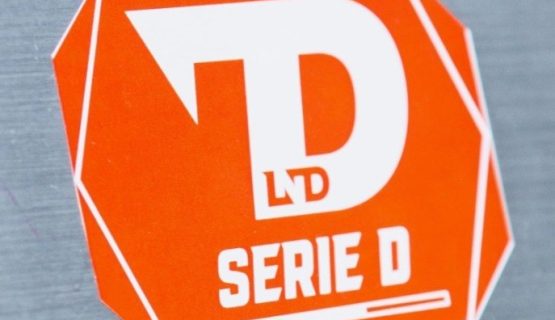 Proposte 13 domande per il ripescaggio