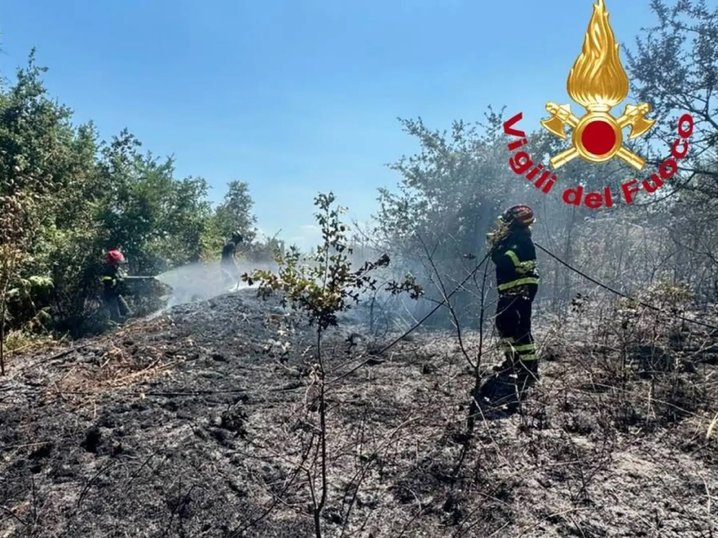 Fiamme nelle sterpaglie in Maremma: intervento dei VVF e antincendi boschivi