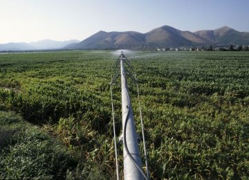 Agricoltura: la Regione Liguria lancia nuovi bandi da 24,4 milioni di euro.