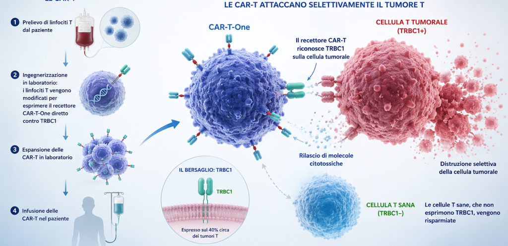 Aifa finanzia il progetto CARtoALL: Pisa leader in una nuova frontiera delle CAR-T per il trattamento di leucemie e linfomi T rari.