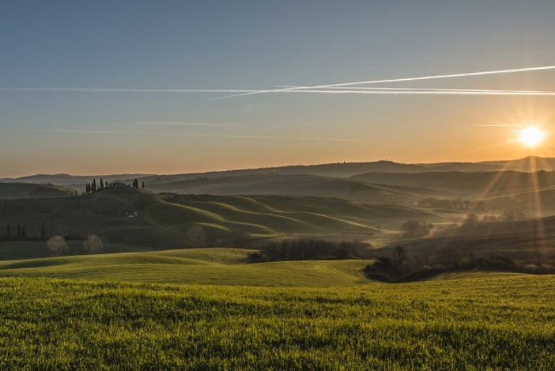 Chianti: A settembre riparte la scuola per agricoltori