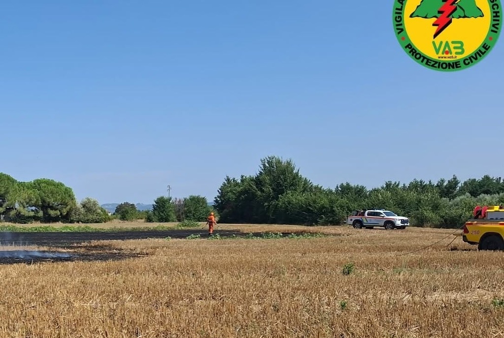 Dalla telecamera rilevato il rogo: incendio domato al Terrafino