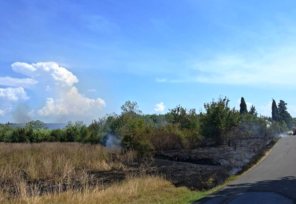Doppio incendio boschivo a Empoli: intervento di volontari e vigili del fuoco