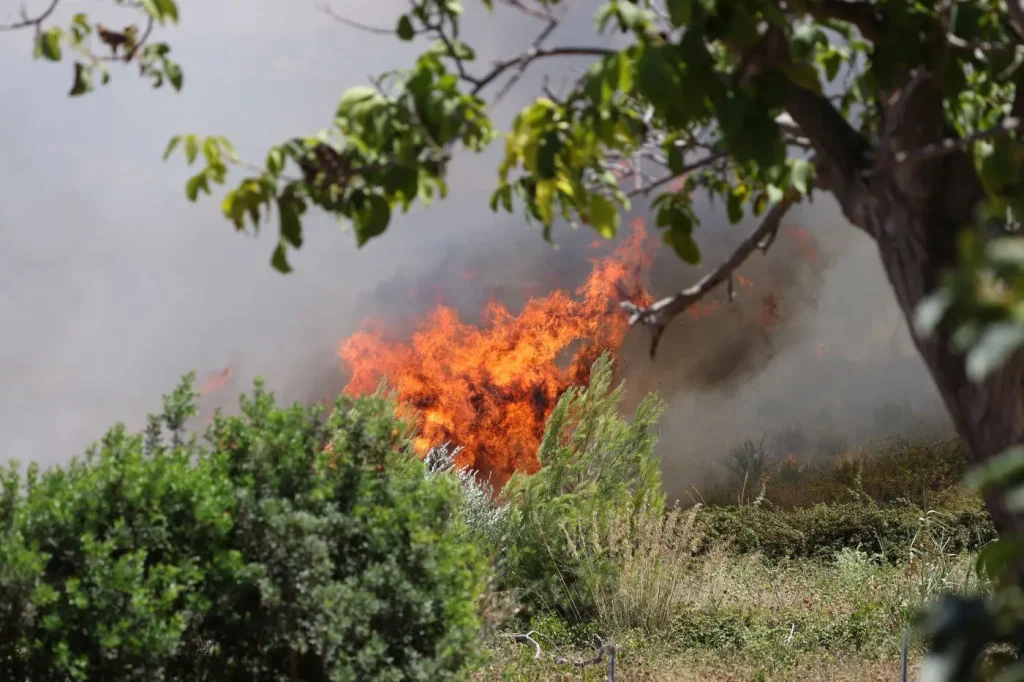 Incendi: Da inizio luglio in Emilia-Romagna distrutti quasi 220 ettari di territorio