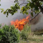 Incendi: Da inizio luglio in Emilia-Romagna distrutti quasi 220 ettari di territorio