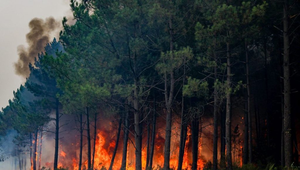 Incendi, WWF: Entro il 2026 in Italia si prevede un aumento del 133% degli ettari bruciati rispetto alla media degli ultimi 20 anni