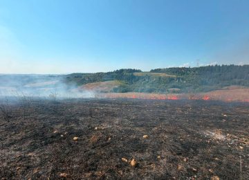 Incendio a Montespertoli: in fiamme un campo incolto e una porzione di uliveto.