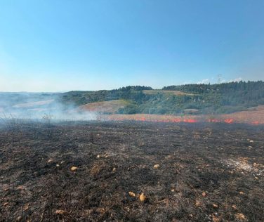 Incendio a Montespertoli: in fiamme un campo incolto e una porzione di uliveto.