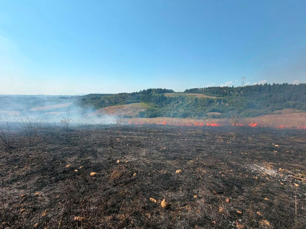 Incendio a Montespertoli: in fiamme un campo incolto e una porzione di uliveto.