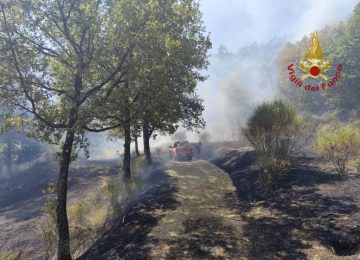 Incendio a Lignano di Arezzo: fiamme nel impianto fotovoltaico e nel bosco circostante