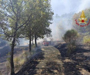 Incendio a Lignano di Arezzo: fiamme nel impianto fotovoltaico e nel bosco circostante