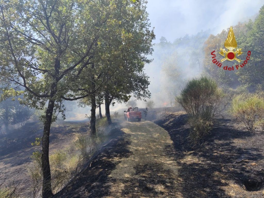 Incendio a Lignano di Arezzo: fiamme nel impianto fotovoltaico e nel bosco circostante
