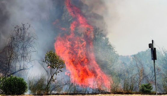 Incendio di vegetazione in via Valdorme Nuova a Empoli. Fiamme vicine alla Fi-Pi-Li, chiuso un tratto.