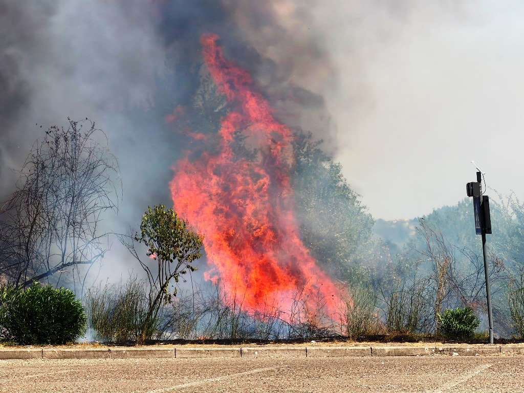 Incendio di vegetazione in via Valdorme Nuova a Empoli. Fiamme vicine alla Fi-Pi-Li, chiuso un tratto.