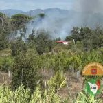 Incendio nella Pineta di Levante tra Viareggio e Torre del Lago: in azione tre elicotteri e dieci squadre dei vigili del fuoco
