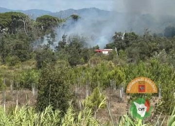 Incendio nella Pineta di Levante tra Viareggio e Torre del Lago: in azione tre elicotteri e dieci squadre dei vigili del fuoco