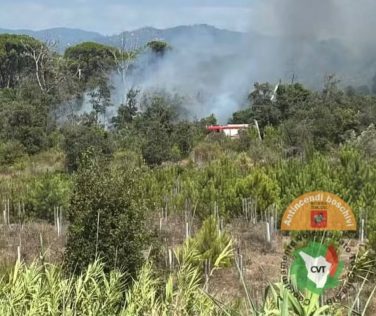 Incendio nella Pineta di Levante tra Viareggio e Torre del Lago: in azione tre elicotteri e dieci squadre dei vigili del fuoco