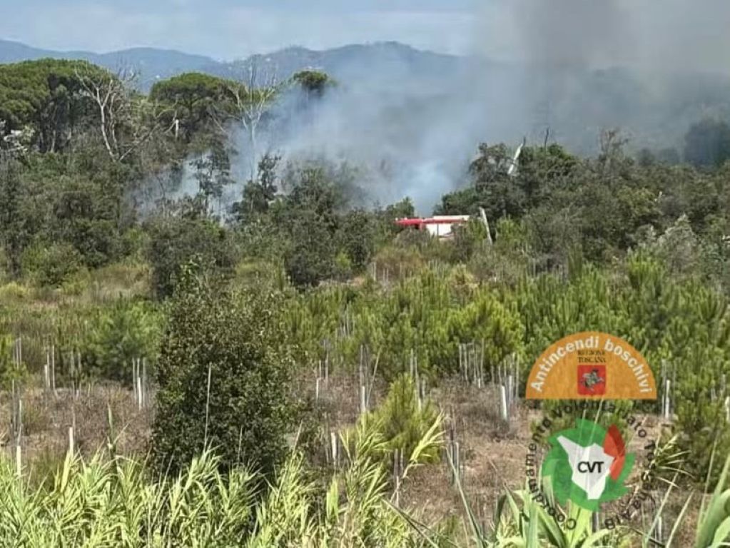 Incendio nella Pineta di Levante tra Viareggio e Torre del Lago: in azione tre elicotteri e dieci squadre dei vigili del fuoco