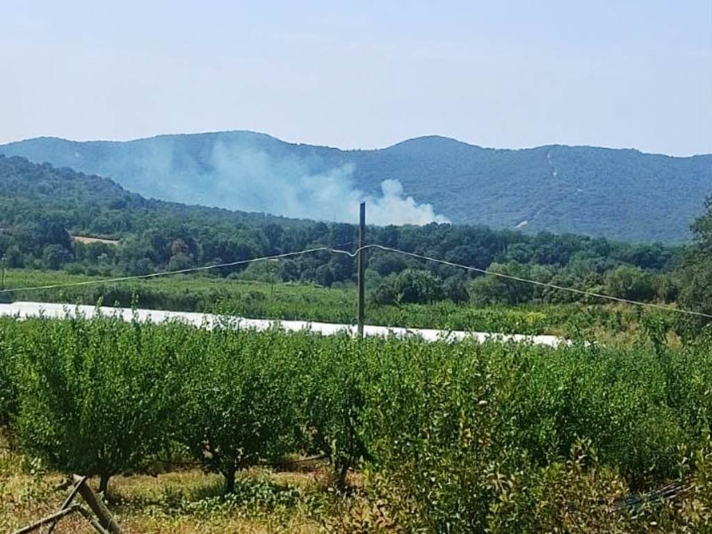 Incendio sulla strada provinciale Castiglione-Punta Ala: operazioni di bonifica in corso