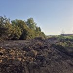 Incendi nell'oasi di Arnovecchio, Legambiente Empoli: "Occorre maggiore vigilanza e indagini"