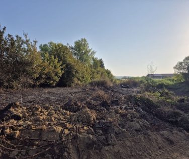 Incendi nell'oasi di Arnovecchio, Legambiente Empoli: "Occorre maggiore vigilanza e indagini"
