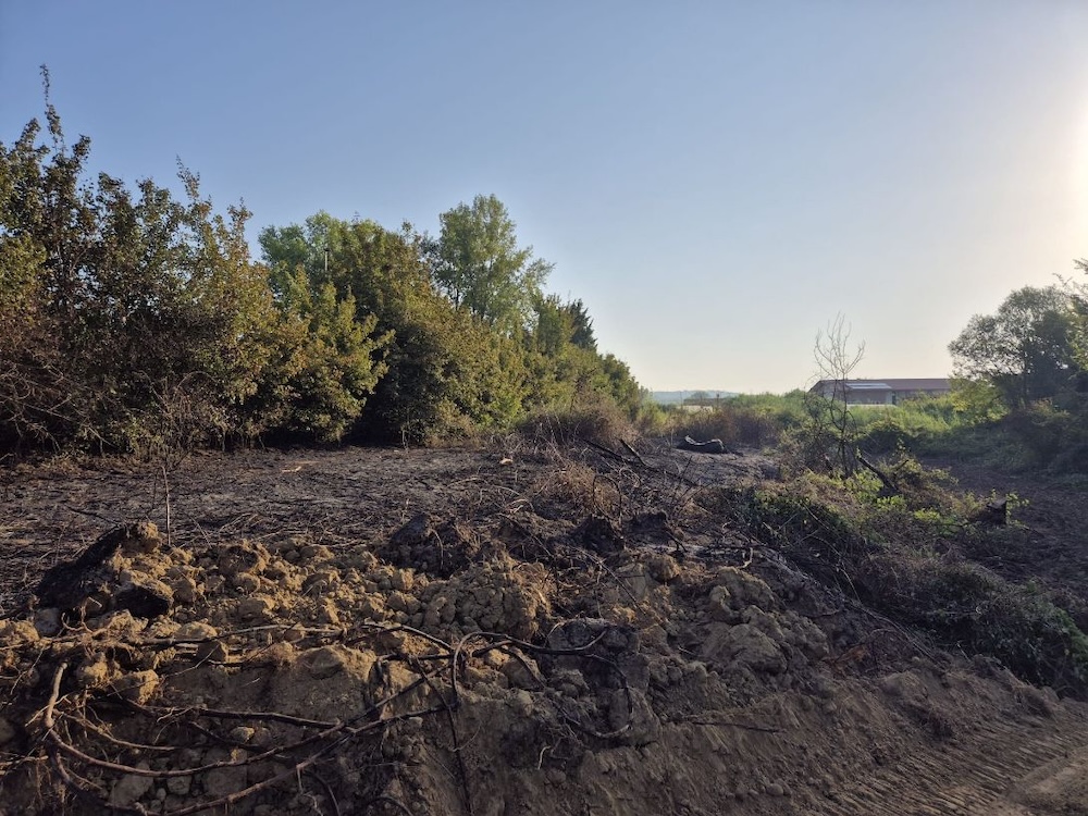 Incendi nell'oasi di Arnovecchio, Legambiente Empoli: "Occorre maggiore vigilanza e indagini"
