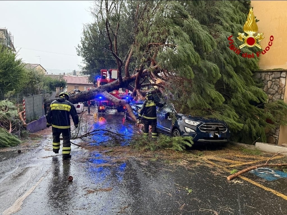 Maltempo nell'Empolese e Fiorentino: interventi notturni e rimozione del pino a Montelupo