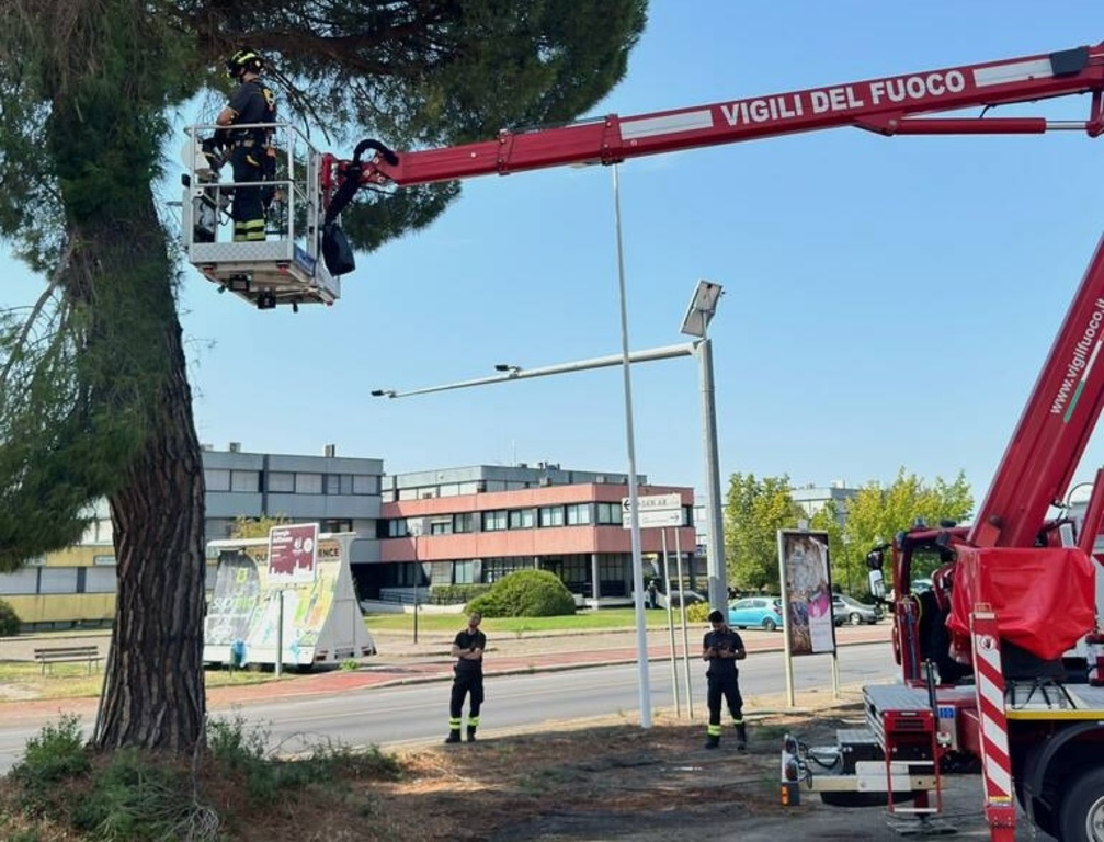 Maltempo: oltre 55 interventi dei Vigili del Fuoco nell'Aretino