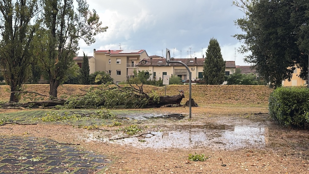 Maltempo a Empoli: i danni riportano 12 alberi abbattuti e interventi su altri 45.