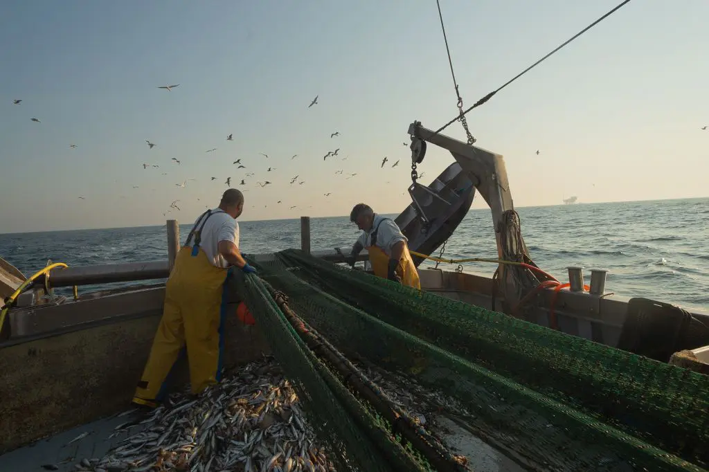 Masaf destina 3 milioni al Fondo di solidarietà per supportare le imprese di pesca e acquacoltura colpite da calamità.