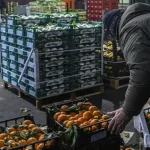 Ortofrutta: Confagricoltura Richiede Urgenti Sostegni per le Imprese