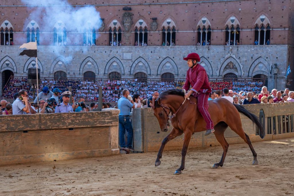 Palio del 16 agosto: La Giraffa trionfa nella seconda prova